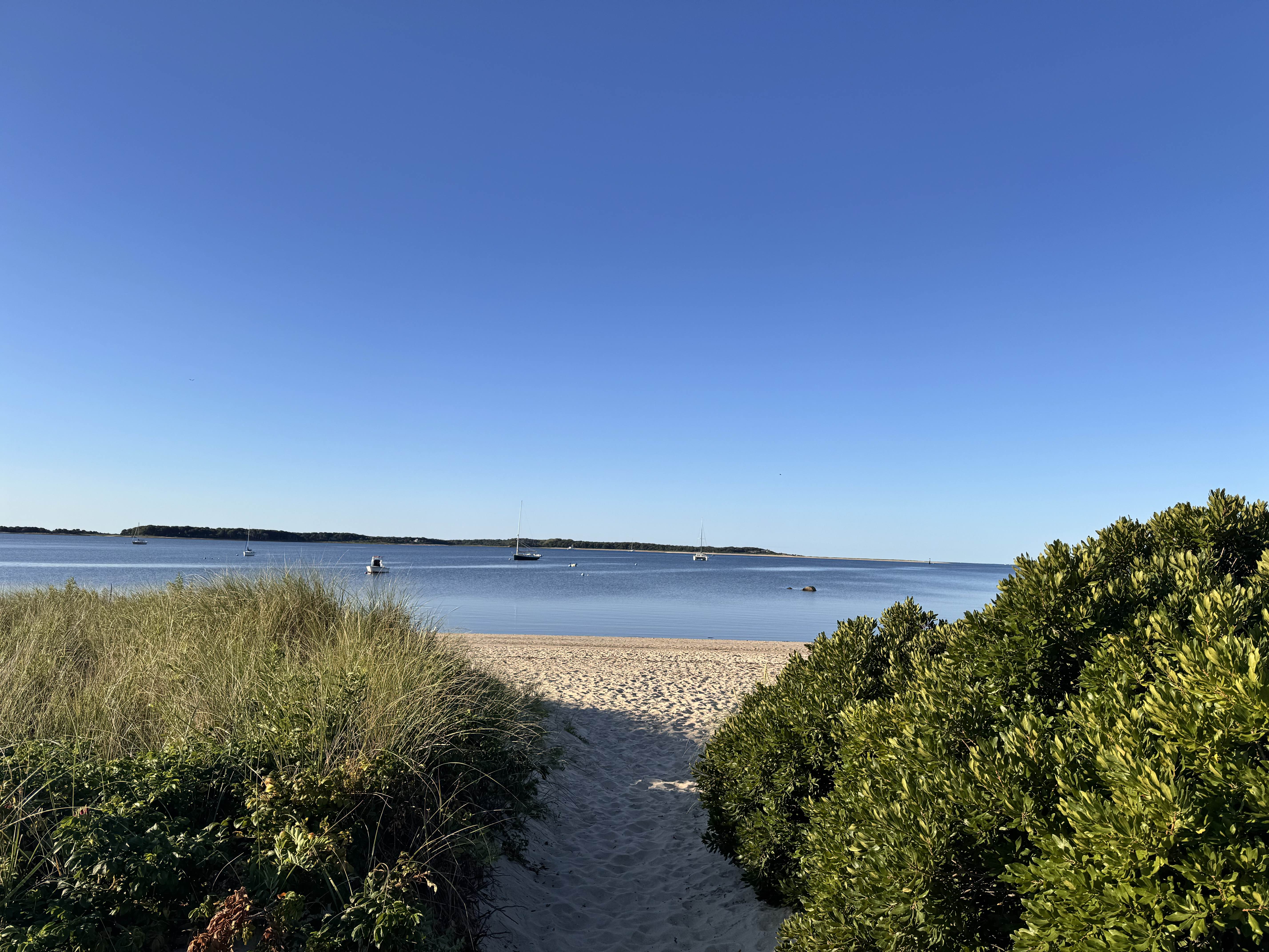 🏝️