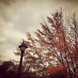 Uconn