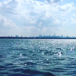 nyc